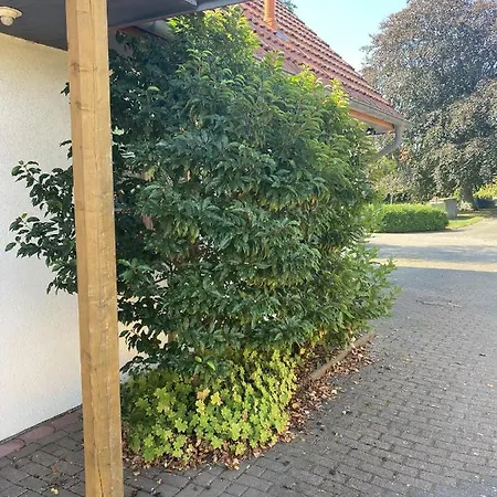 Auszeit 1 Apartament *